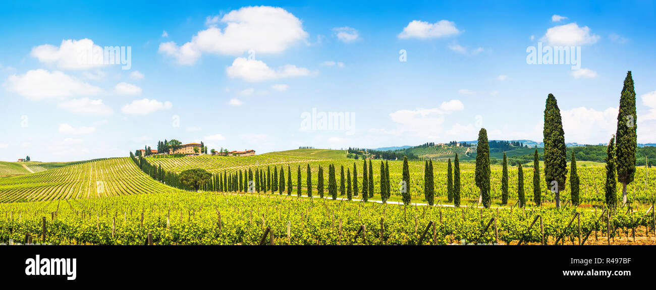 Panoramablick auf die malerische Toskana Landschaft mit Weinberg im Chianti, Toskana, Italien Stockfoto