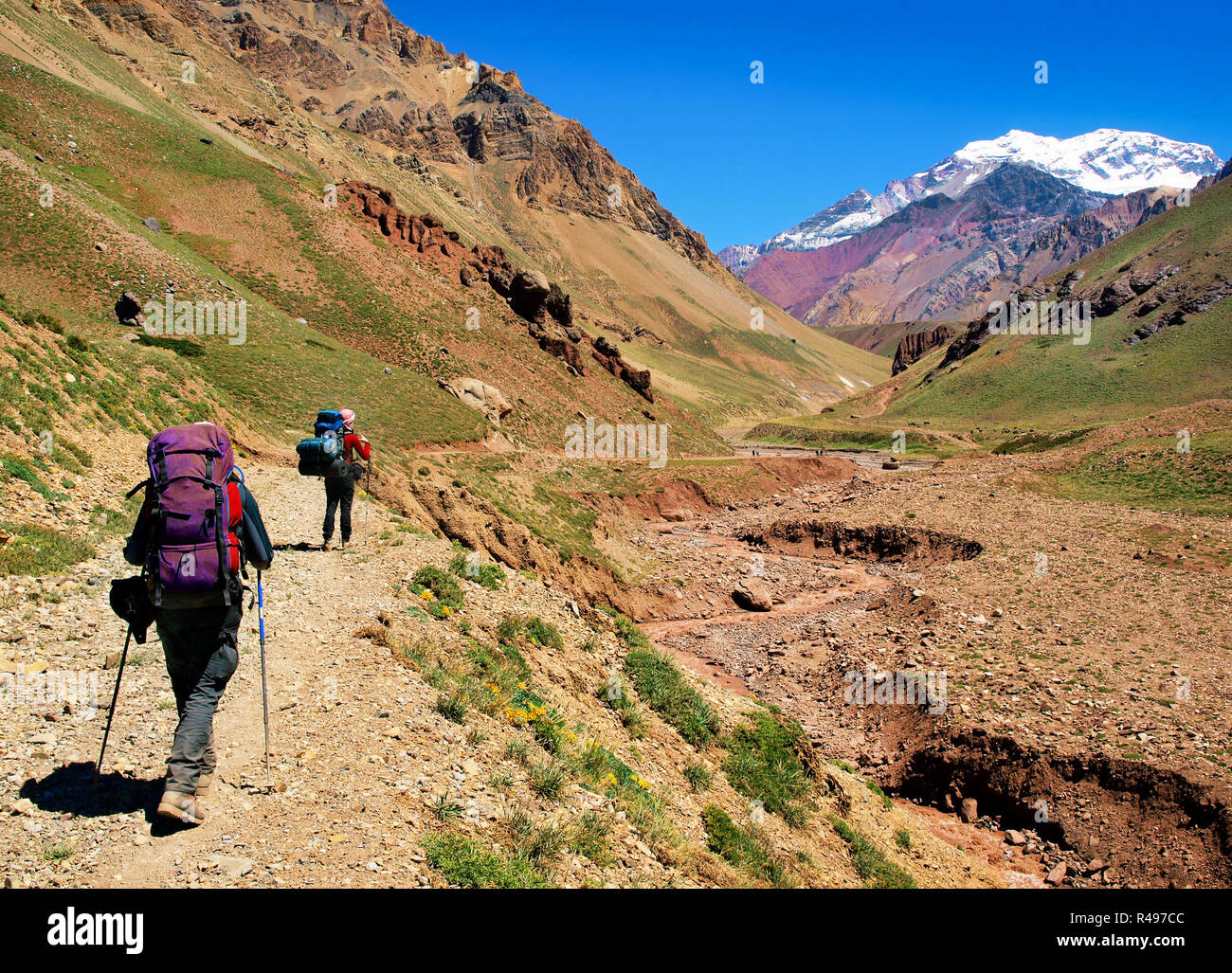 Wanderer auf dem Weg zum Aconcagua in den Hintergrund gesehen, Nationalpark Aconcagua, Argentinien, Südamerika Stockfoto Wanderer auf dem Weg zum Aconcagua in den Hintergrund gesehen, Nationalpark Aconcagua, Argentinien, Südamerika Stockfoto