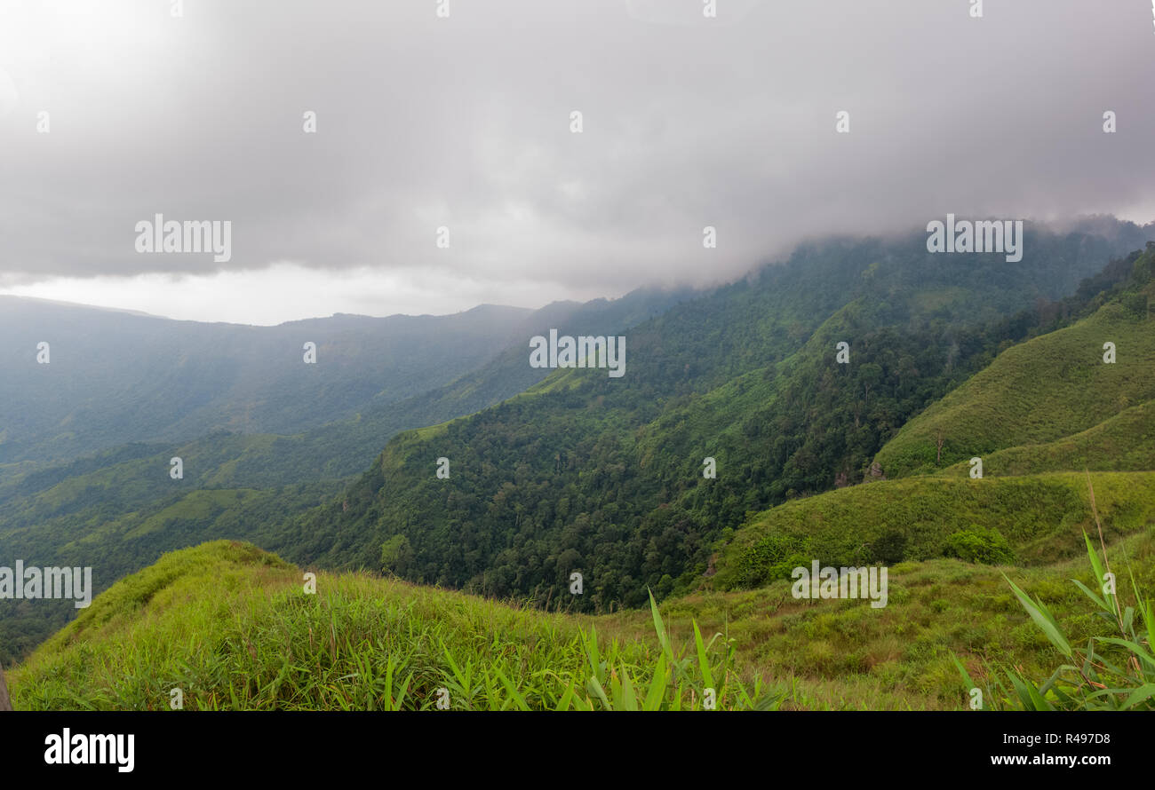 Breite Mountain Scenic regnerischen Tag grünes Gras Nebel cloud Hintergrund, Phu Whirlpool Berk Thailand Stockfoto