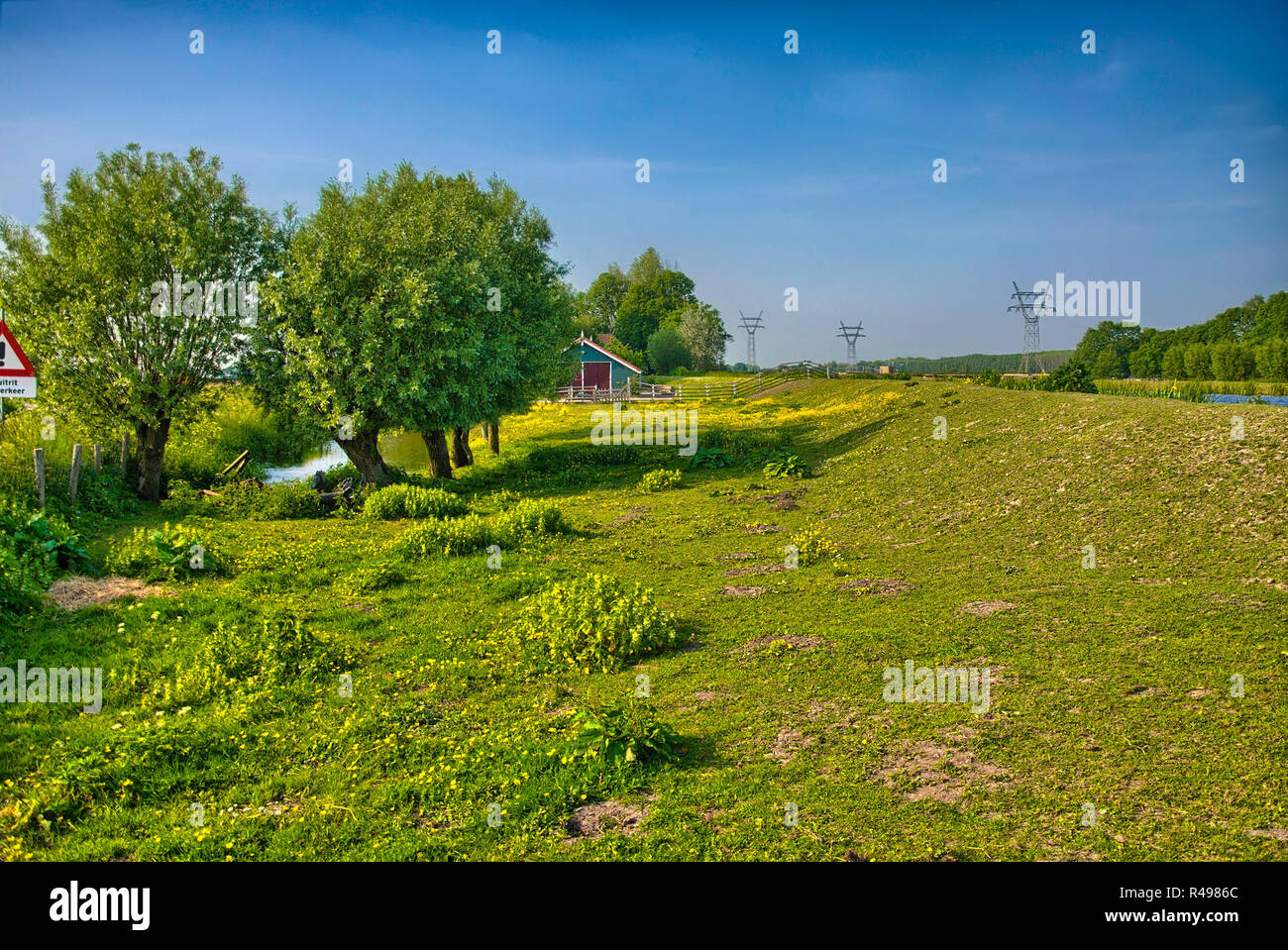 Schönen Bauernhof Landschaft mit Bäumen und Wiesen, Amsterdam Stockfoto