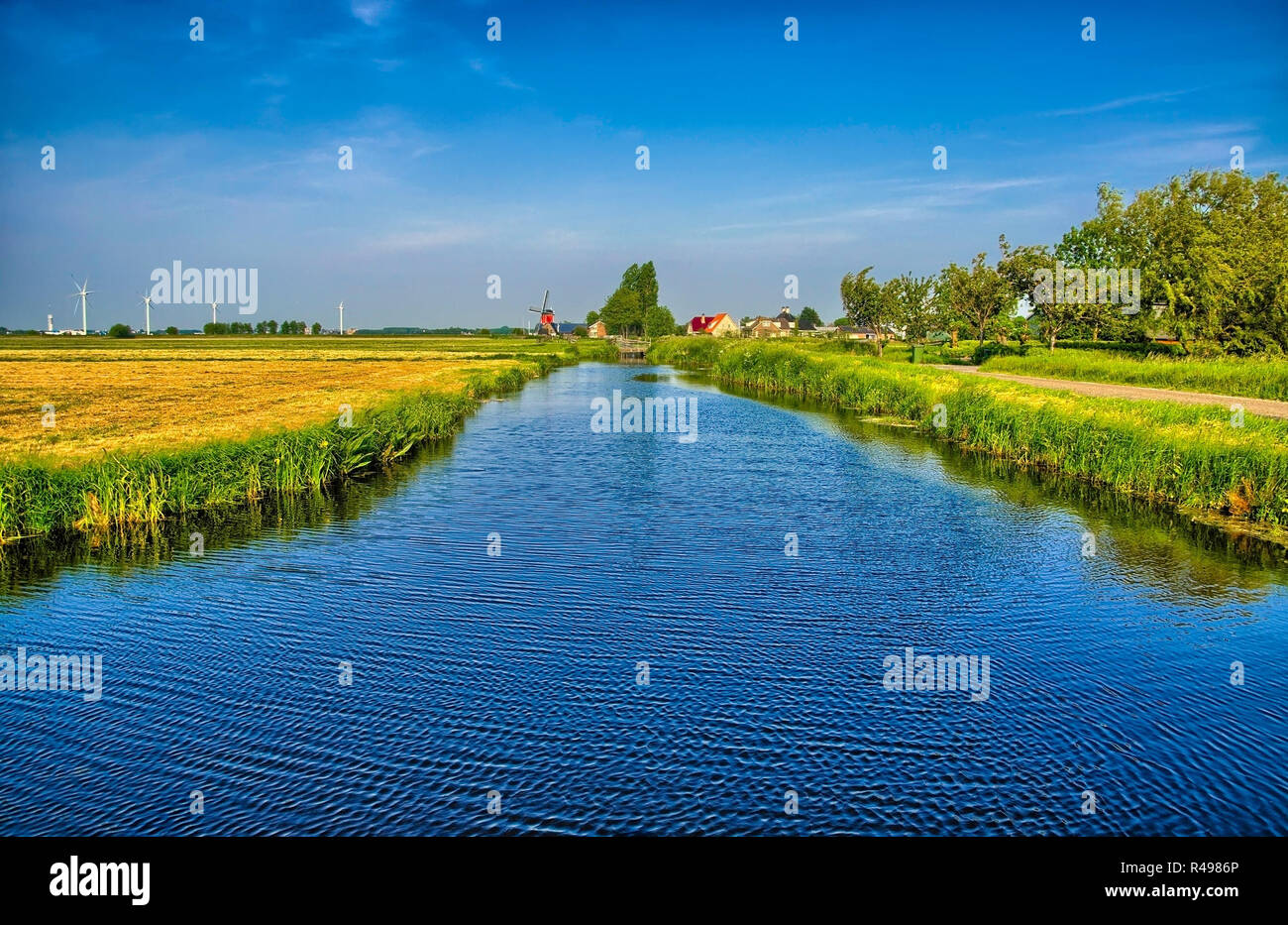 Holländische Landschaft mit Kanal und Rasen Felder Stockfoto