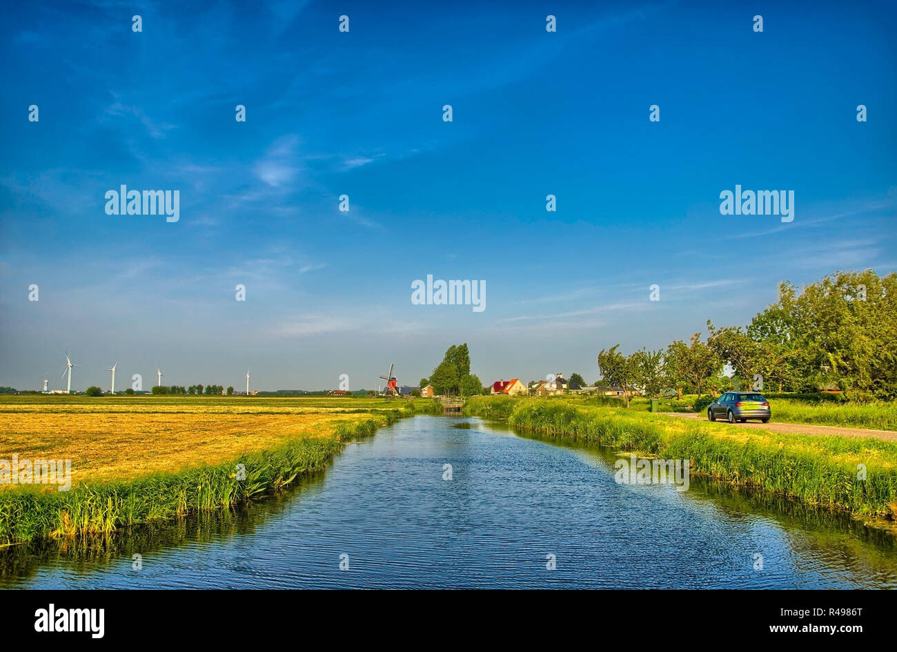 Holländische Landschaft mit Kanal und Rasen Felder Stockfoto