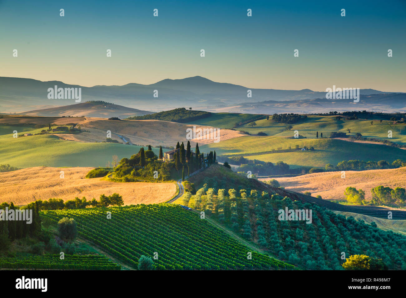 Malerische Toskana-Landschaft mit sanften Hügeln und Tälern im goldenen Morgenlicht, Val d ' Orcia, Italien Stockfoto