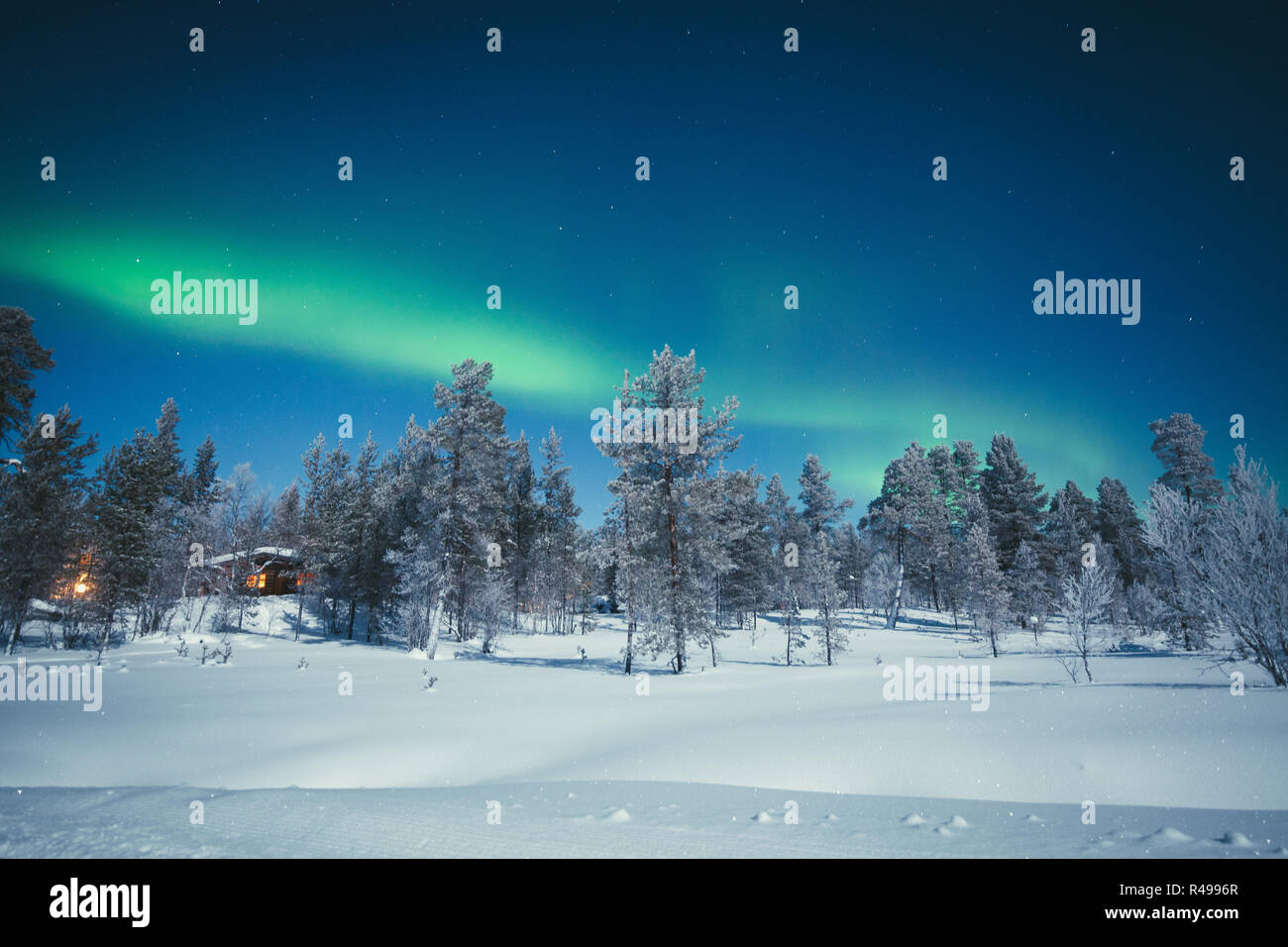 Panoramablick auf erstaunliche Aurora Borealis - das Nordlicht über wunderschöne winterliche Landschaft mit Bäumen und Schnee auf einem malerischen kalte Nacht in Skandin Stockfoto