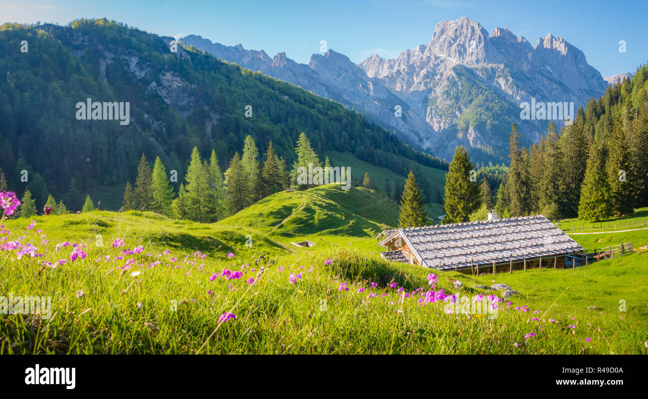 Idyllische Landschaft in den Alpen mit traditionellen Mountain Chalets und frische grüne Almen im Sommer Stockfoto