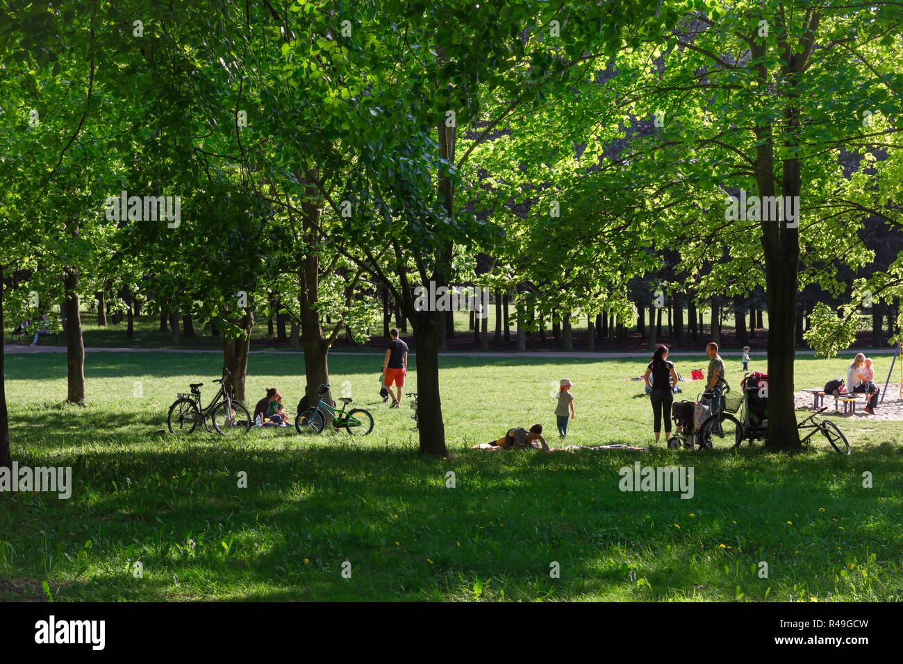 Family Park Sommer, Blick auf die Familie Gruppen entspannen an einem Sommernachmittag in der Zitadelle Park in Posen, Polen, Europa. Stockfoto