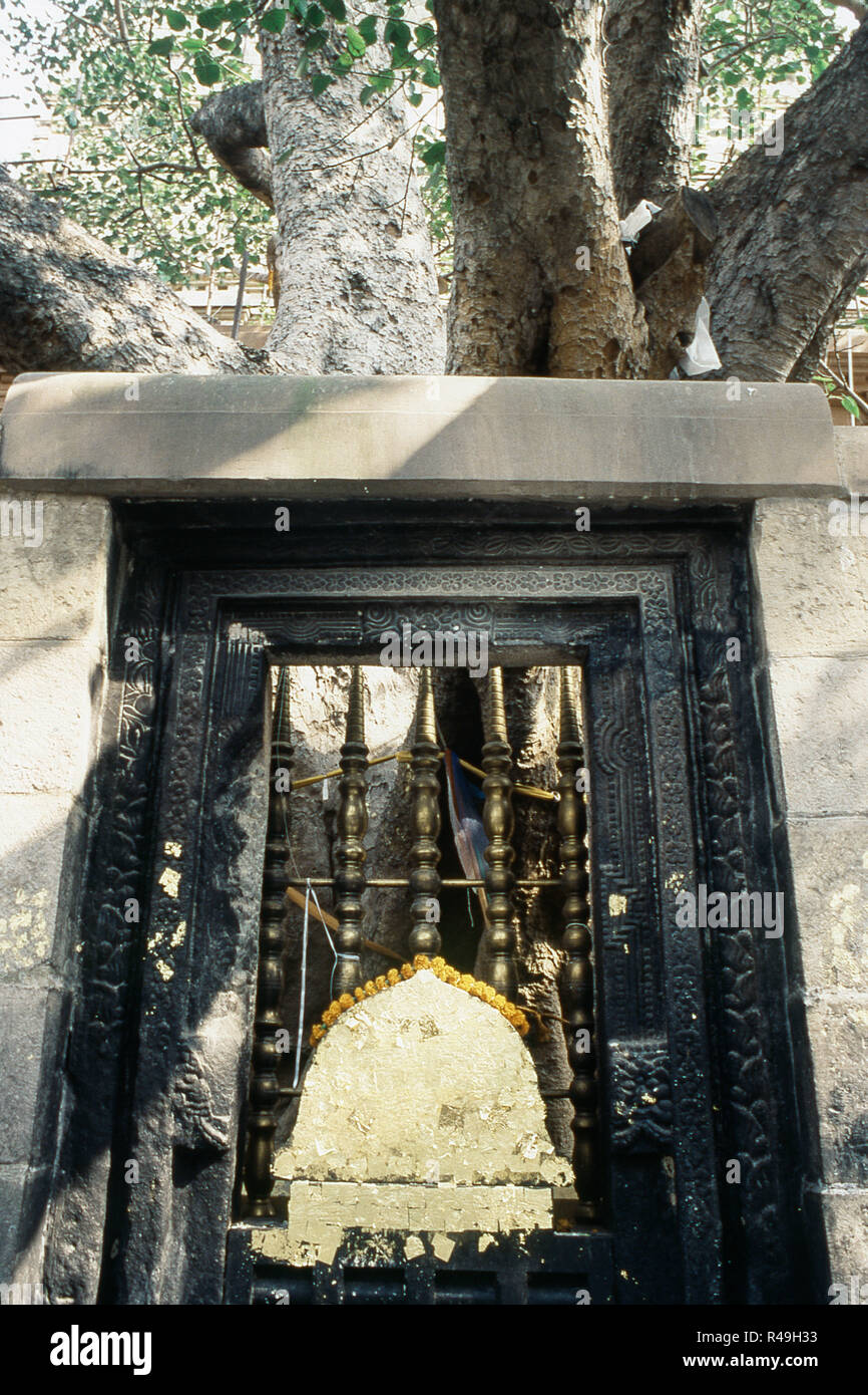 Heiliger Stein mit dünnen Vergoldet, Bodh Gaya, Bihar, Indien, Asien Stockfoto