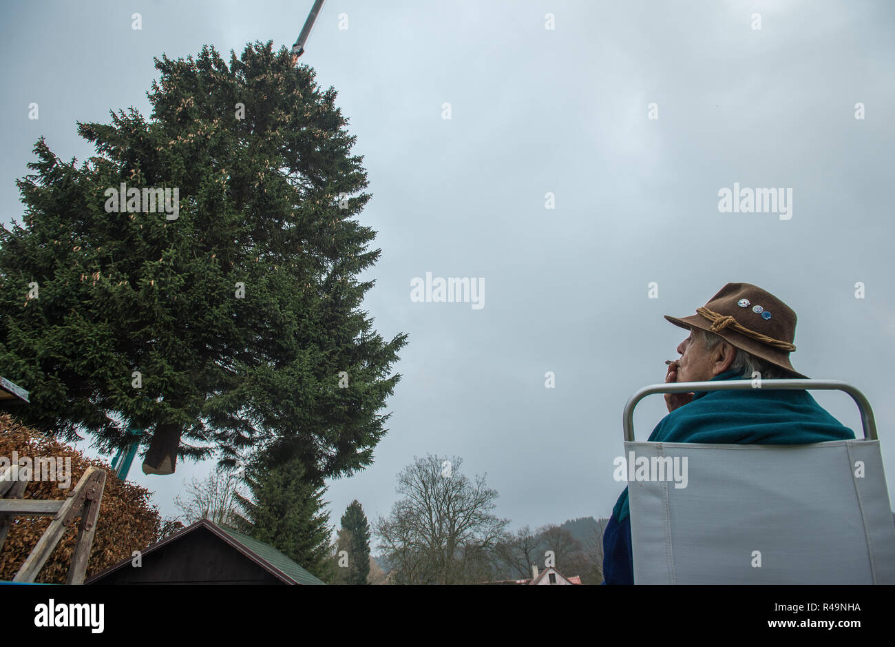 Rynoltice, Tschechische Republik. 25 Nov, 2018. Weihnachtsbaum für Prag unten geschnitten wurde von Spezialisten in Rynoltice, Tschechien, am 25. November 2018. Die Fichte (Picea abies) ist rund 23 Meter hoch und 61 Jahre alt. Der Baum leuchtet am 1. Dezember auf dem Altstädter Ring in Prag. Credit: Radek Petrásek/CTK Photo/Alamy leben Nachrichten Stockfoto