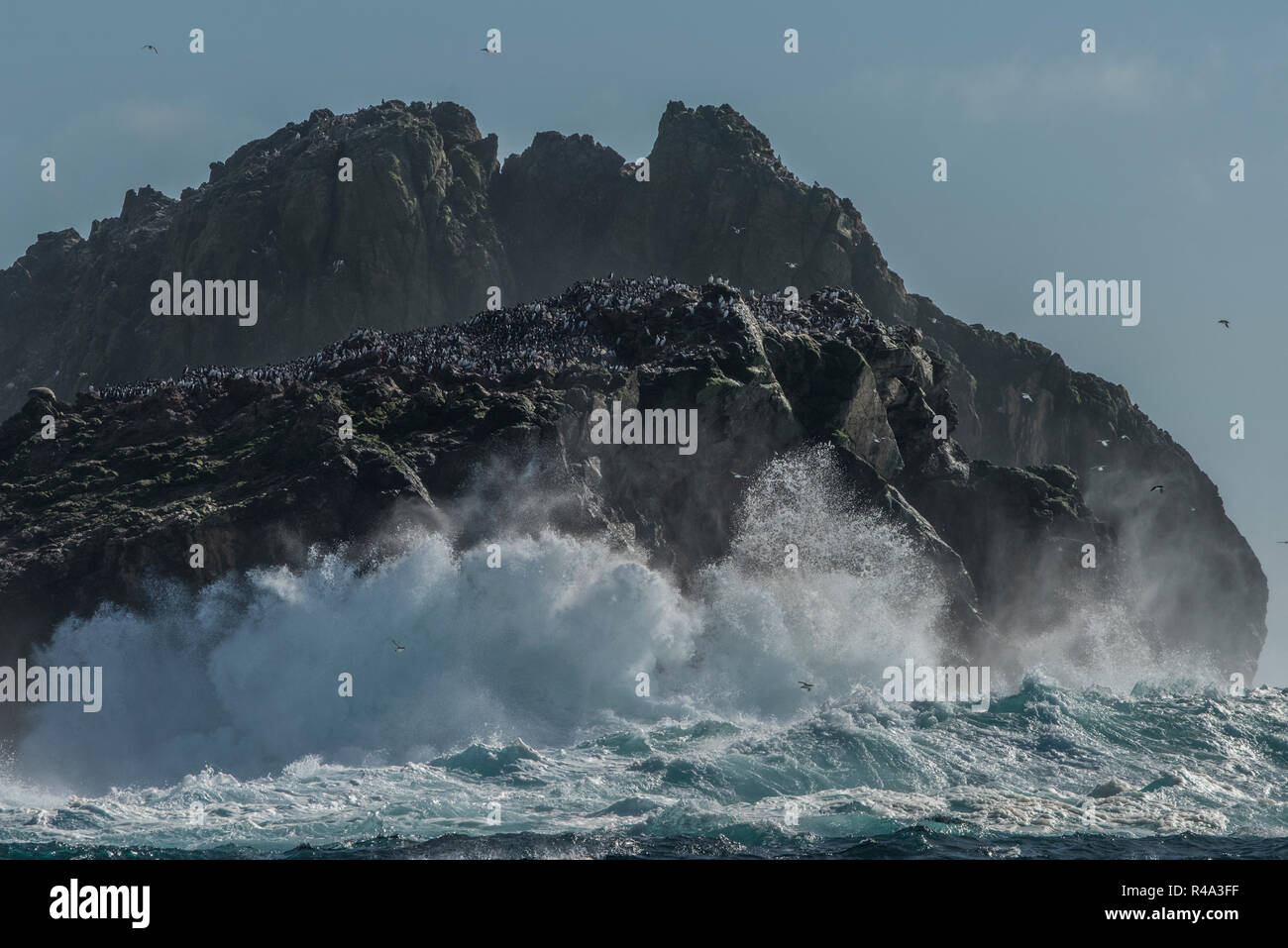 Die Wellen gegen das Ufer der Farallon Islands vor der Küste von Kalifornien, die Inseln sind ein wichtiger Nistplatz für pelagische Vögel. Stockfoto
