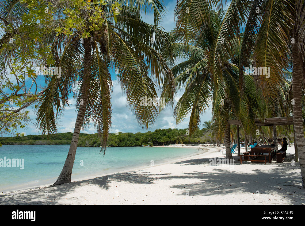 Weißer Sand, Palmen und reinem Wasser. Die malerische Playa Azul ist eine unbewohnte Beach auf einer privaten Insel in der Nähe von Isla Barú. Cartagena de Indias, Kolumbien Stockfoto