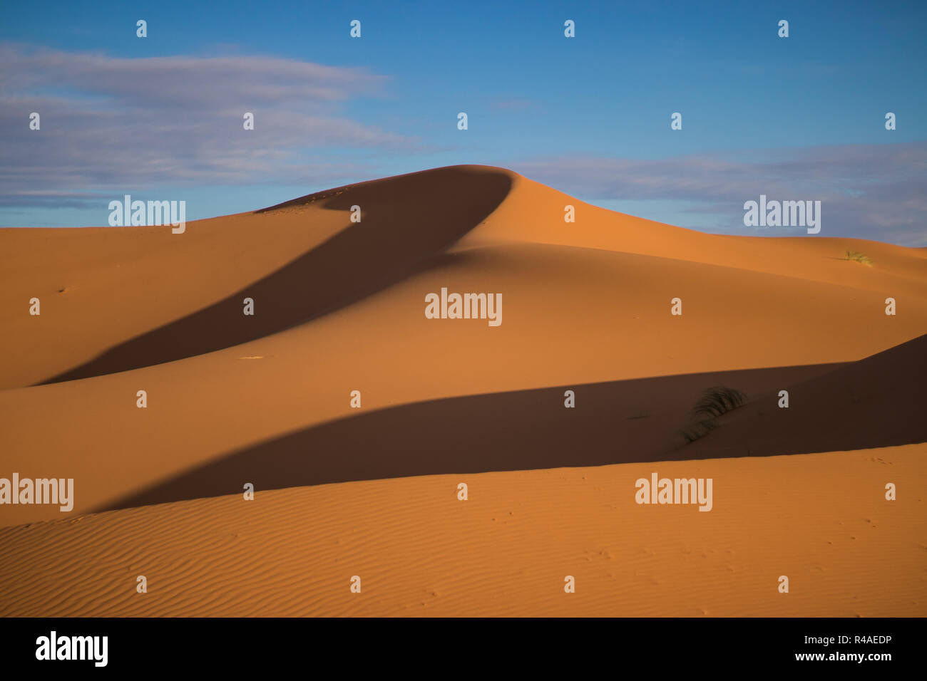 Sanddünen in der Wüste Sahara während des Tages. Stockfoto