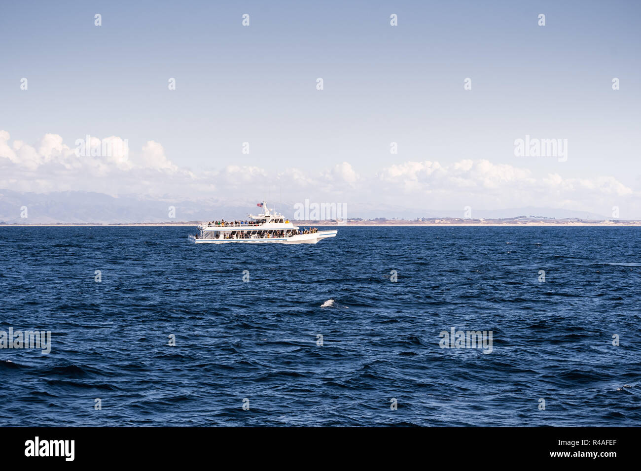 Whale watching Kreuzfahrtschiff in Monterey Bay, Pazifischer Ozean Küste, Kalifornien Stockfoto