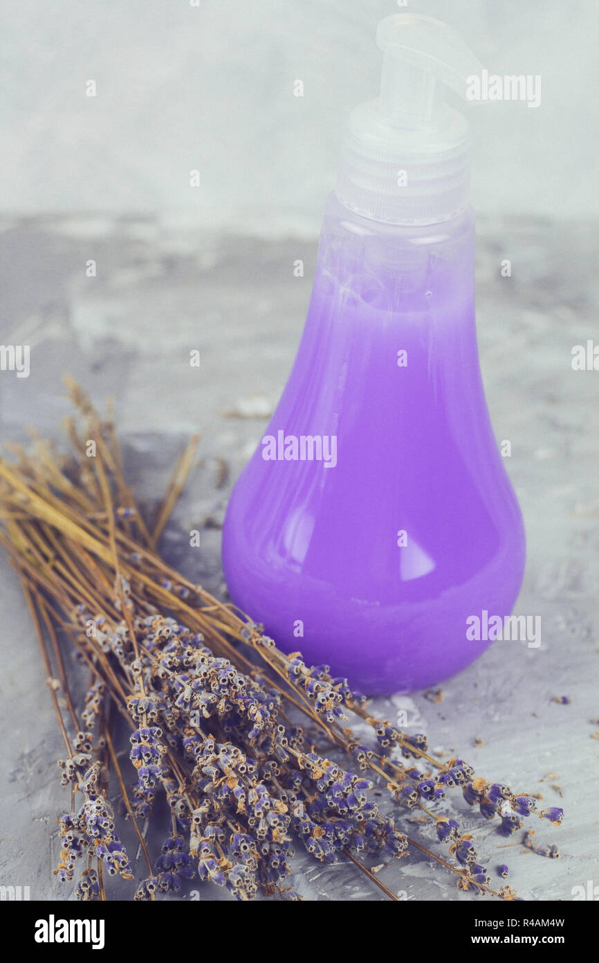 Trockene Lavendelblüten Bündel und ein kosmetisches Produkt mit Farbe und Duft von Lavendel in der Flasche mit Spender schäbig Grau konkreten Hintergrund, Natur Stockfoto