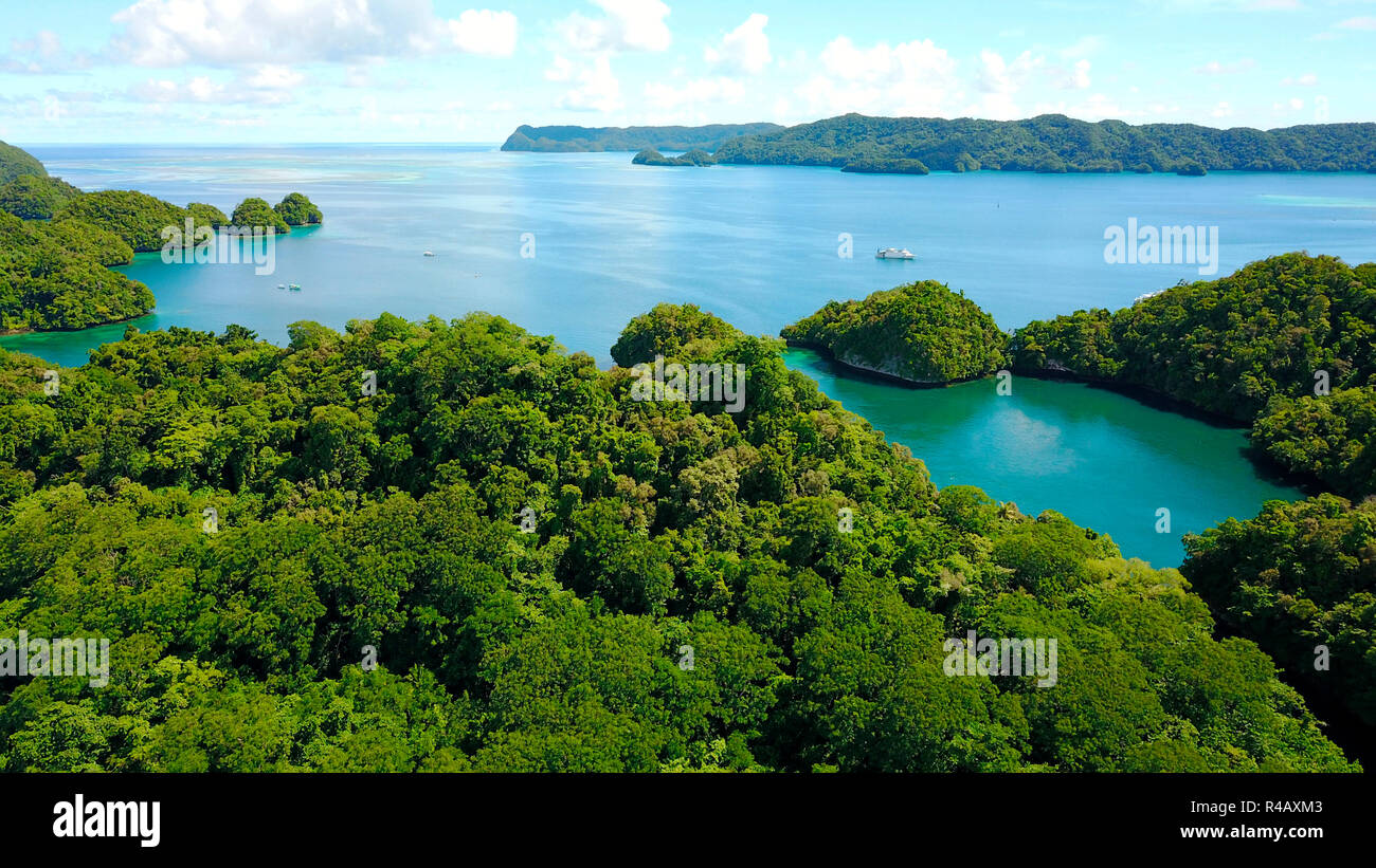 Lagune von Palau, Mikronesien, Pazifik, Australien Stockfoto