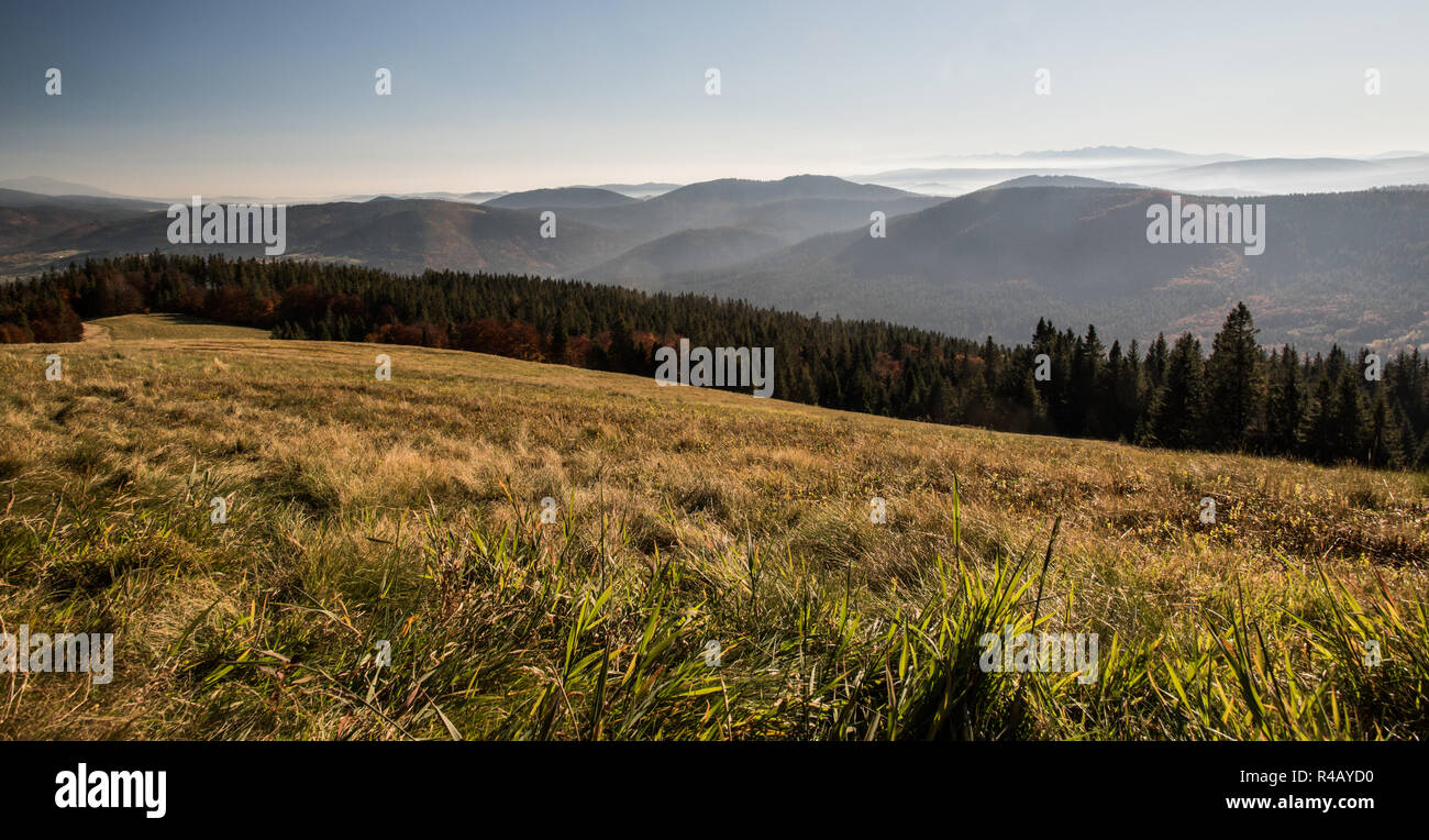 Herbst Bergwiese mit bunten Wald, Hügel von Beskid Zywiecki, Kysucke Beskydy, Kysucka vrchovina und Bergen der Hohen Tatra auf dem Hintergrund und Cl Stockfoto