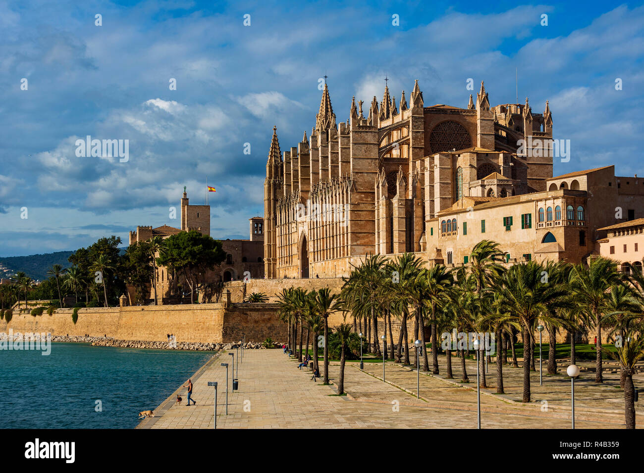 Die Kathedrale von Palma oder La Seu, Palma oder Palma de Mallorca, Mallorca, Mallorca, Balearen, Spanien, Europa Stockfoto
