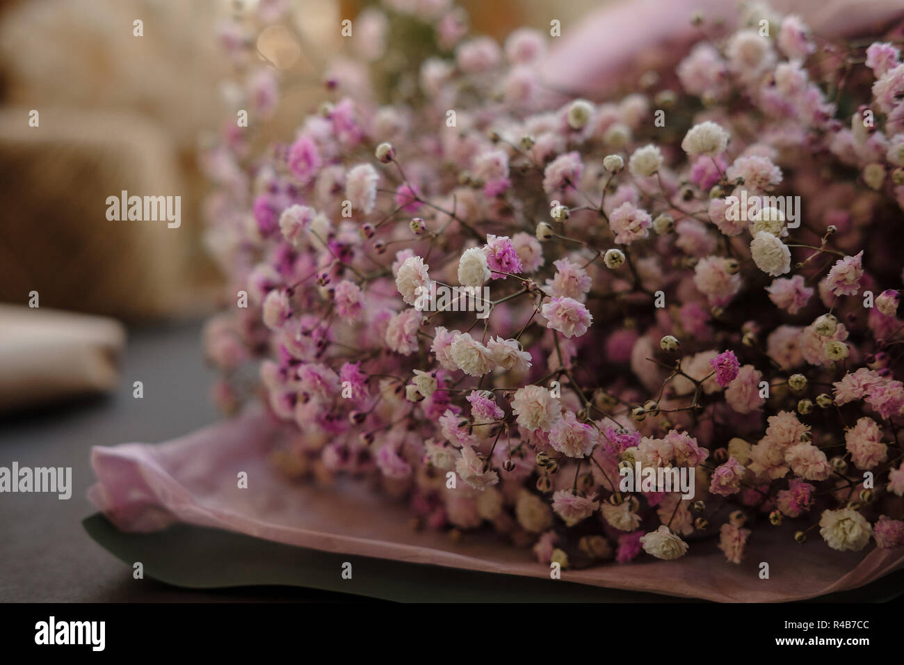 Rosa Blumen Blumenstrauß. Lila Gypsophila Blumen auf schwarzem Hintergrund. Close Up. Stockfoto