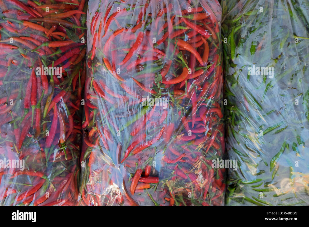 Riesige Säcke frische Peperoni in einem Markt, in Hat Yai, Thailand. Stockfoto