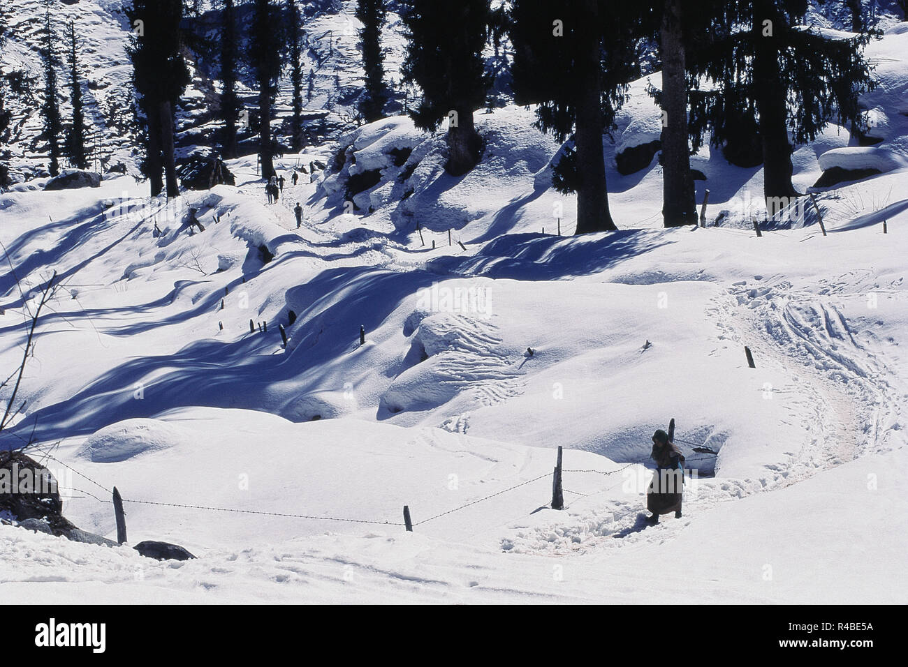 Verschneite Straße, Solang Valley, Manali, Himachal Pradesh, Indien, Asien Stockfoto