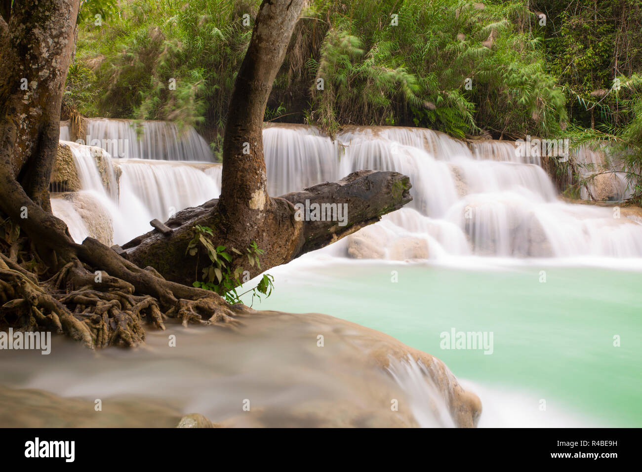Die schöne Tat Kuang Si Wasserfälle sind ein beliebter Tagesausflug von Luang Prabang im Norden von Laos. Stockfoto