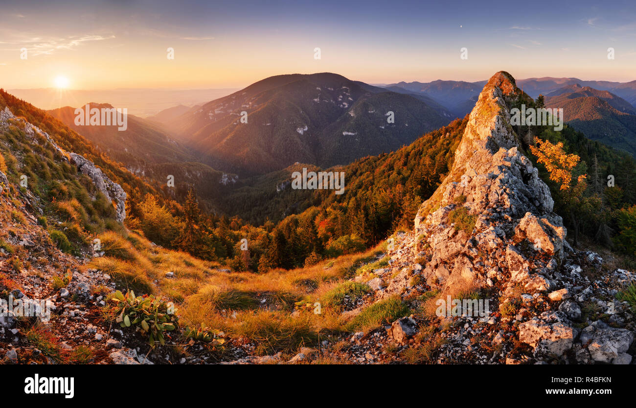 Grünen Wald in Bergpanorama Stockfoto