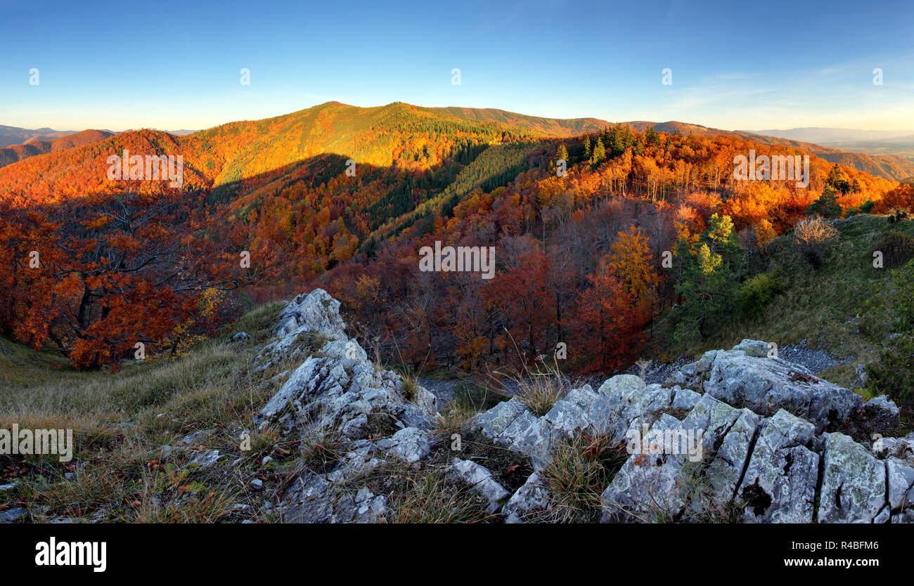 Herbstliche Berglandschaft mit bunten Wald Stockfoto