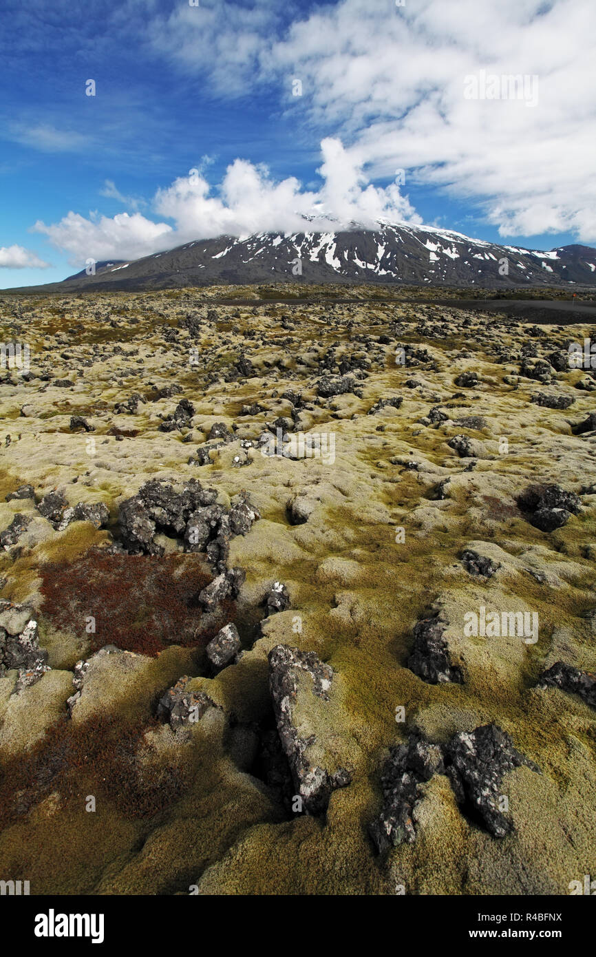 Weiße Gipfel der Snæfellsjökull Vulkan im Westen von Island - 1446 m Höhe. Stockfoto