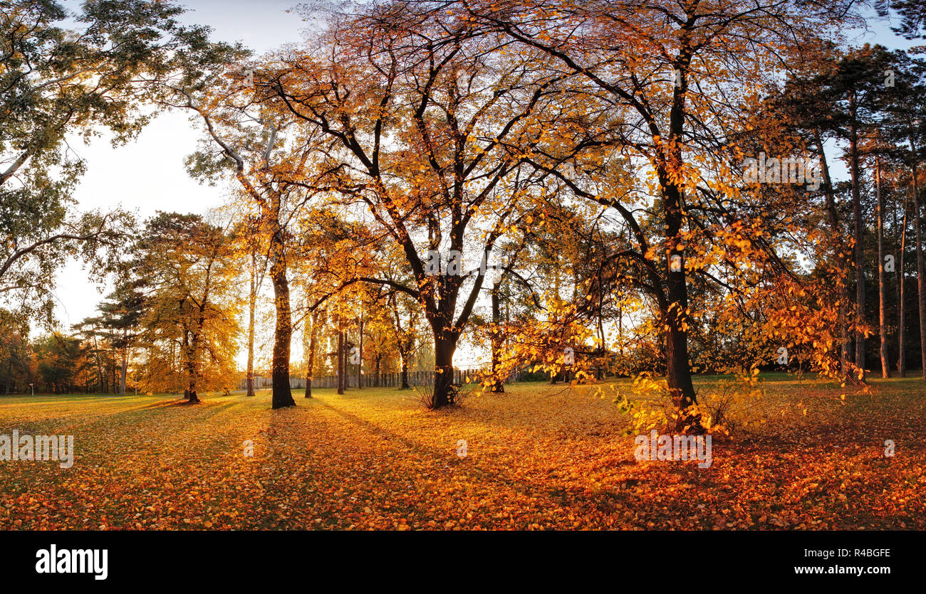 Herbst Panorama Park mit Sonnenterrasse Stockfoto