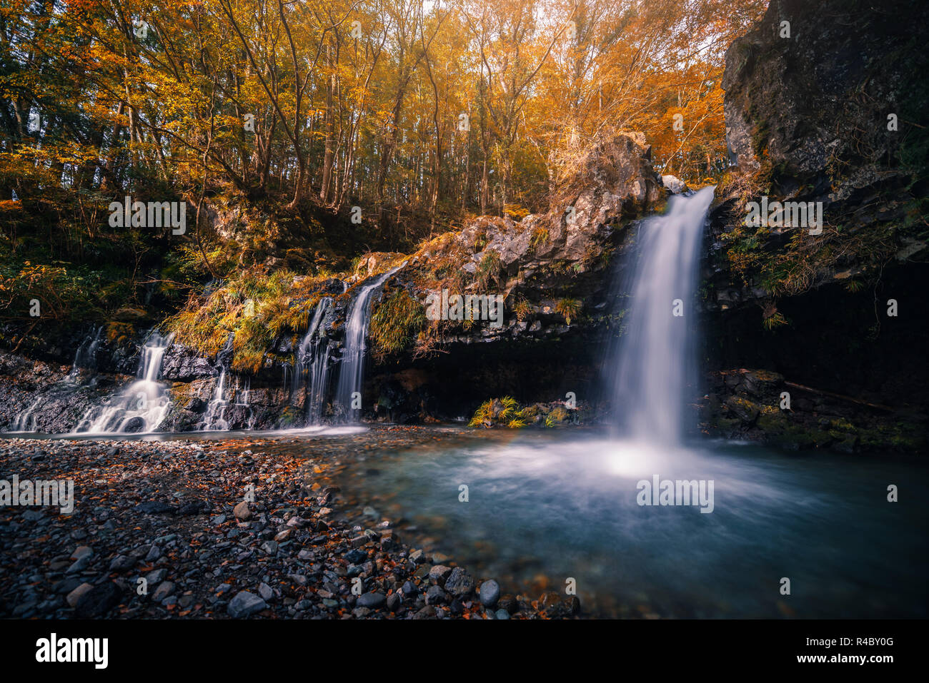 Wasserfall mit Herbstlaub in Fujinomiya, Japan. Stockfoto