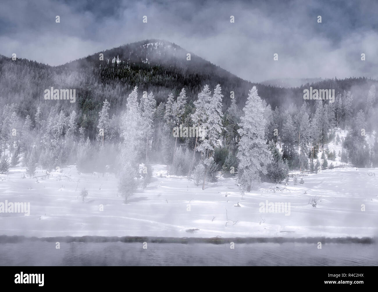 Yellowstone-Nationalpark im winter Stockfoto