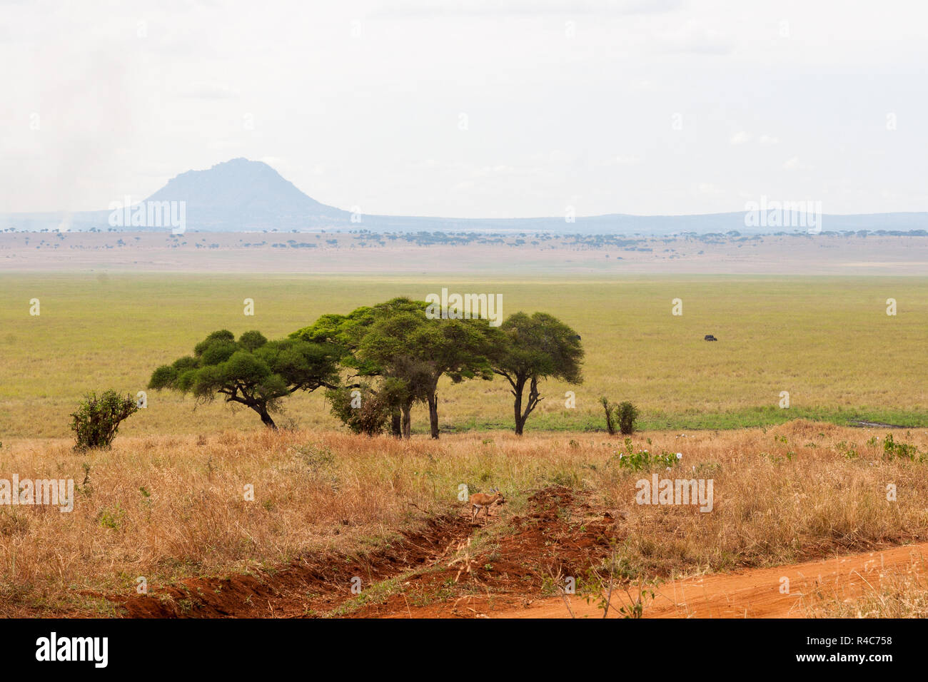 Der Tarangire Vista Stockfoto