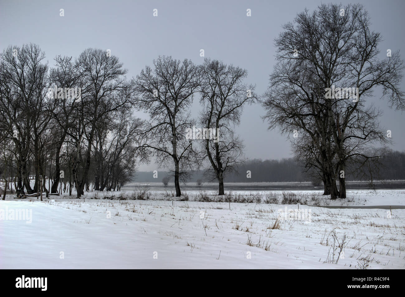 Die Vojvodina, Serbien - Blick auf den Naturpark Obedska Bara (obedska Bog) mit Schnee bedeckt Stockfoto