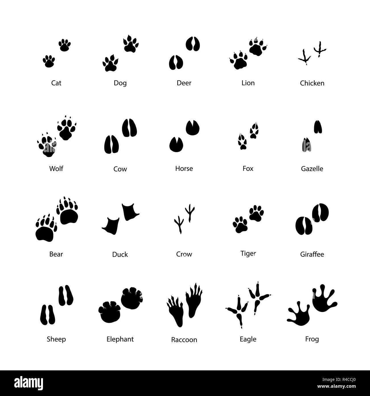 Große Anzahl von Tier- und Vogel Silhouetten von Schritten Abdrücke isoliert auf weißem Stock Vektor