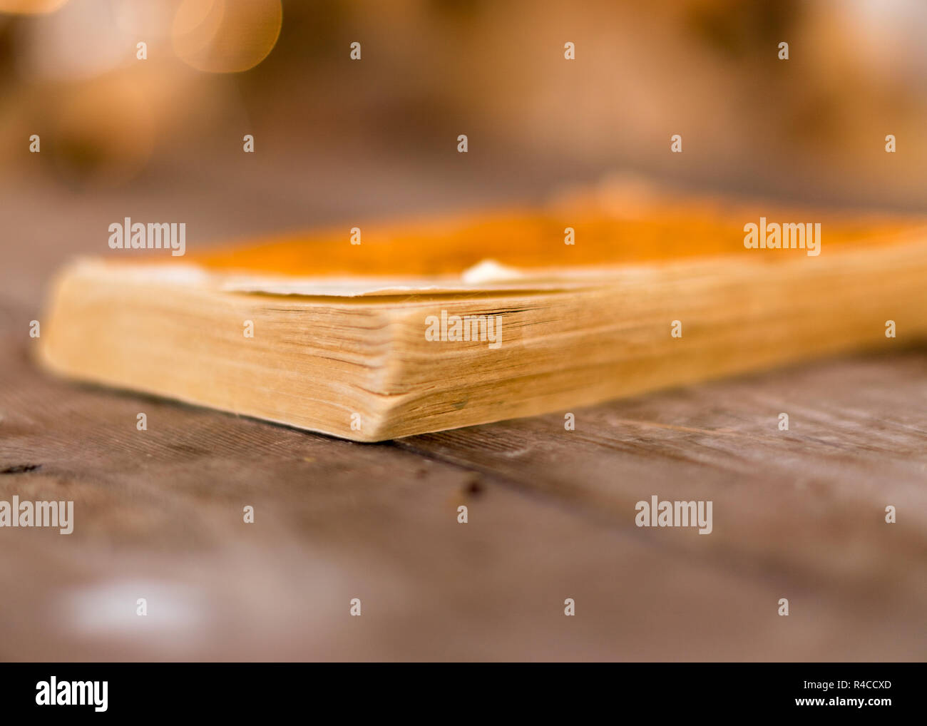 Mein altes Buch Stockfoto