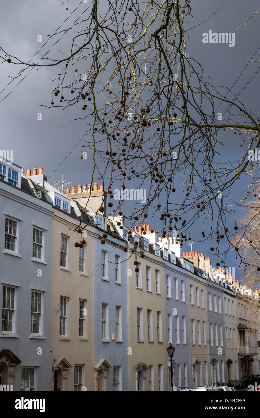 Platane in Clifton Bristol, winter Stockfoto