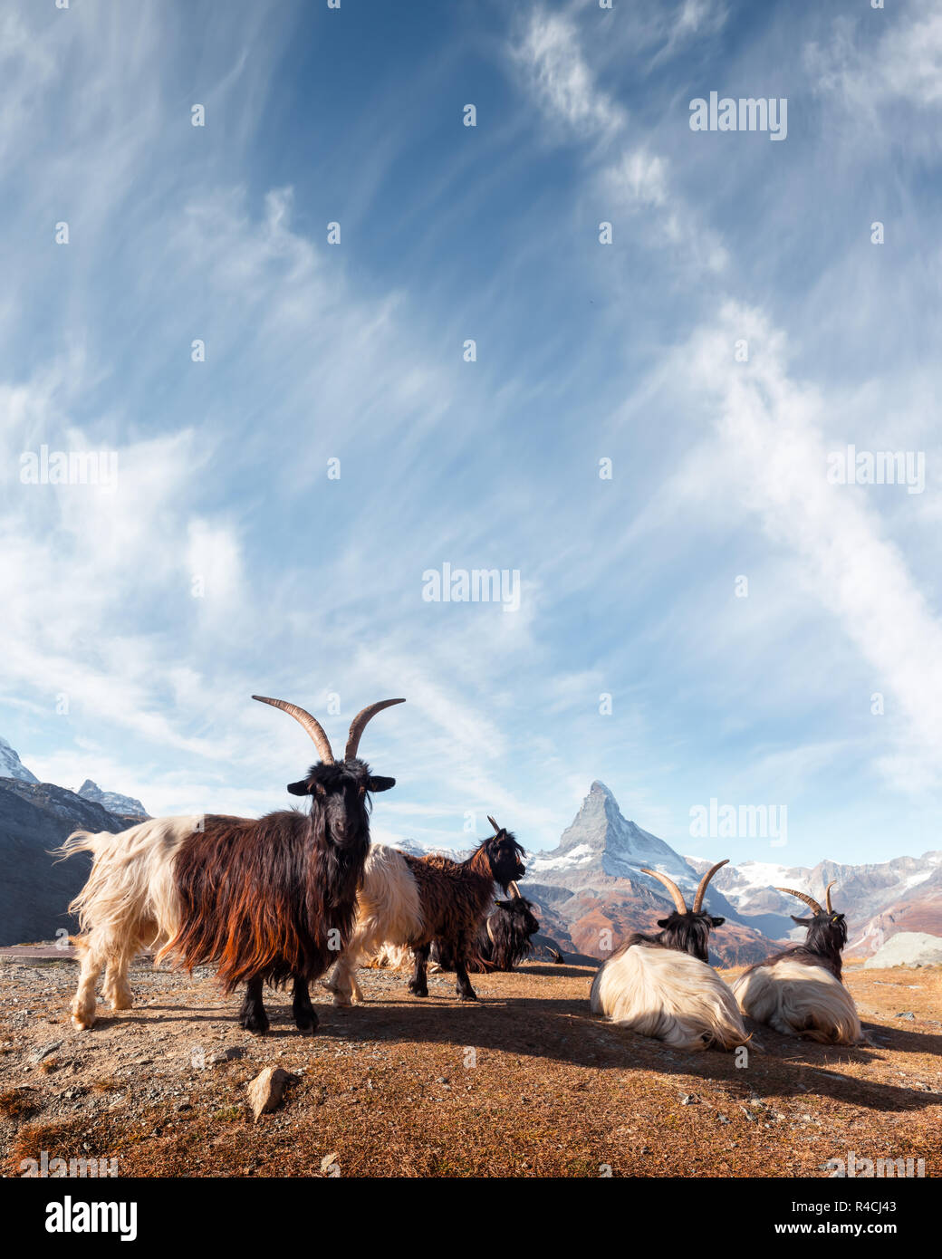 Malerische Aussicht auf das Matterhorn Matterhorn Gipfel, unbefestigte Straße und Stellisee See in der Schweizer Alpen. Zermatt Resort Lage, Schweiz. Landschaftsfotografie Stockfoto