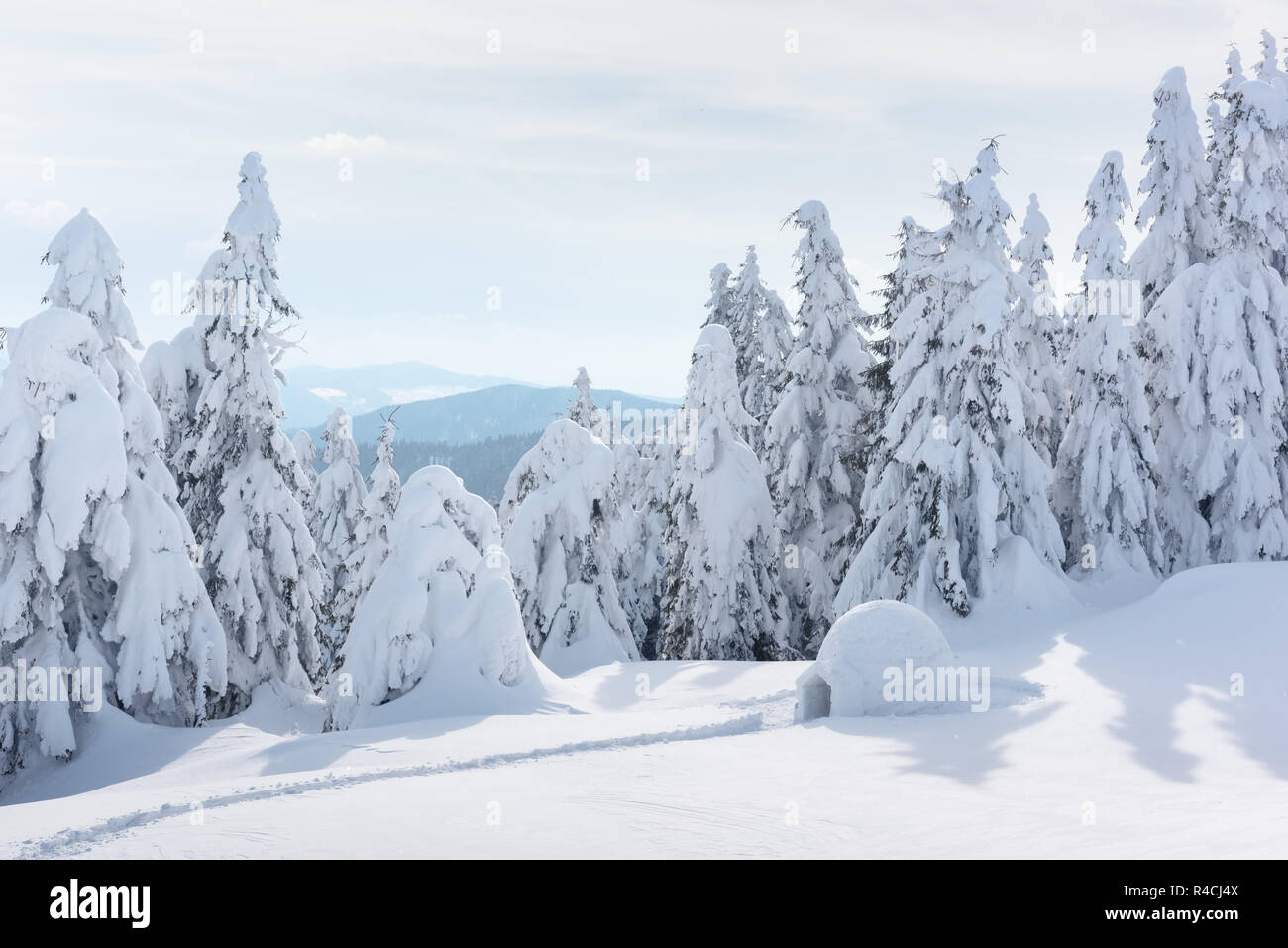 Echten schneeiglu Haus im Winter Karpaten. Verschneite Tannen auf dem Hintergrund Stockfoto