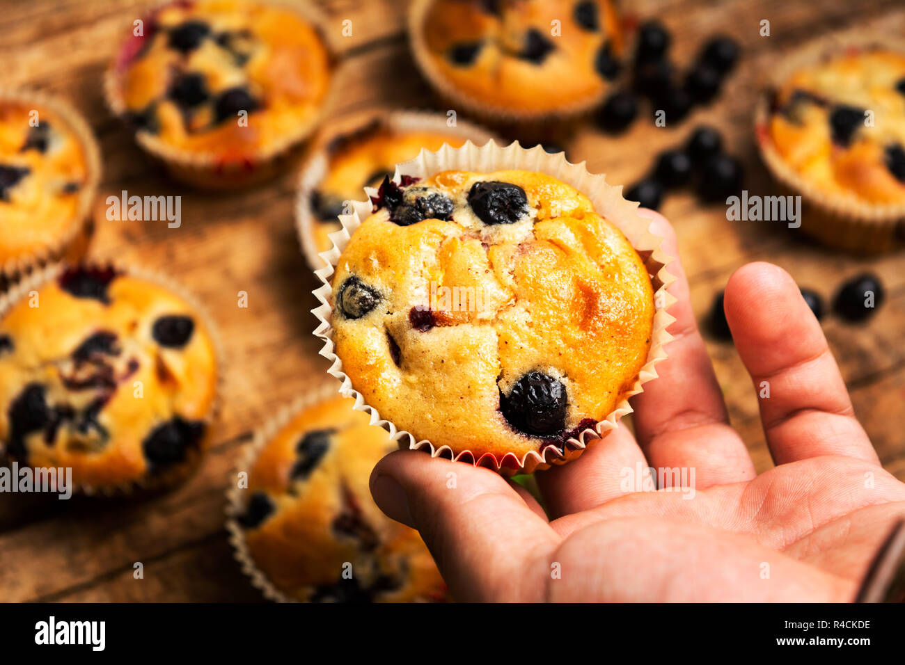 Hand, die Muffins mit Beeren Obst erste Person Stockfoto