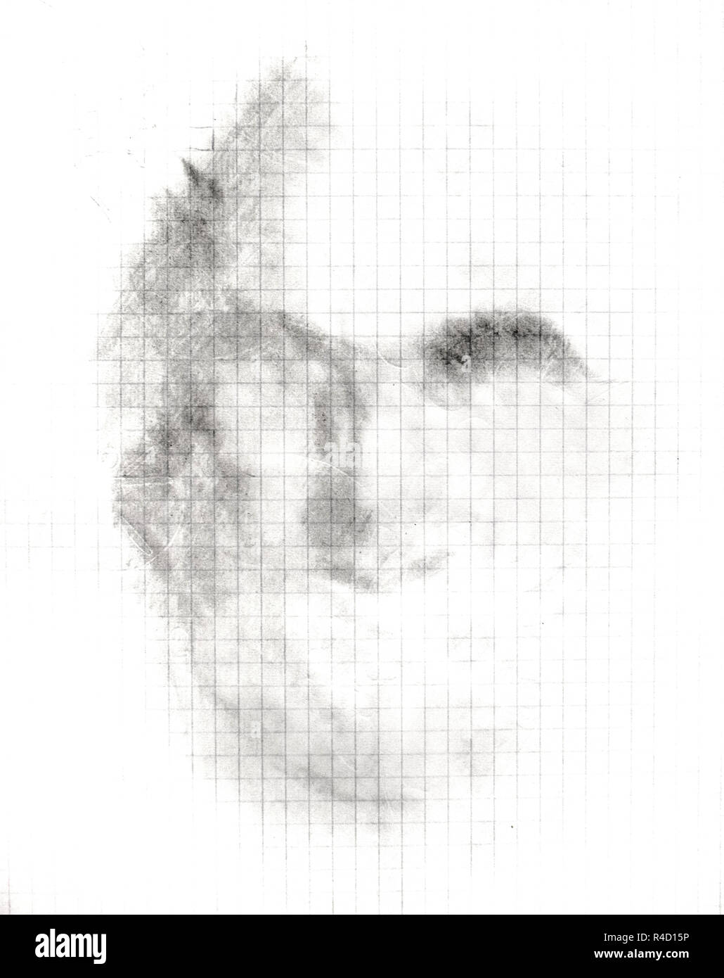 Der Schatten eines bemannt Gesicht auf einem Notebook, einem einfachen  Bleistift, eine Skizze Stockfotografie - Alamy