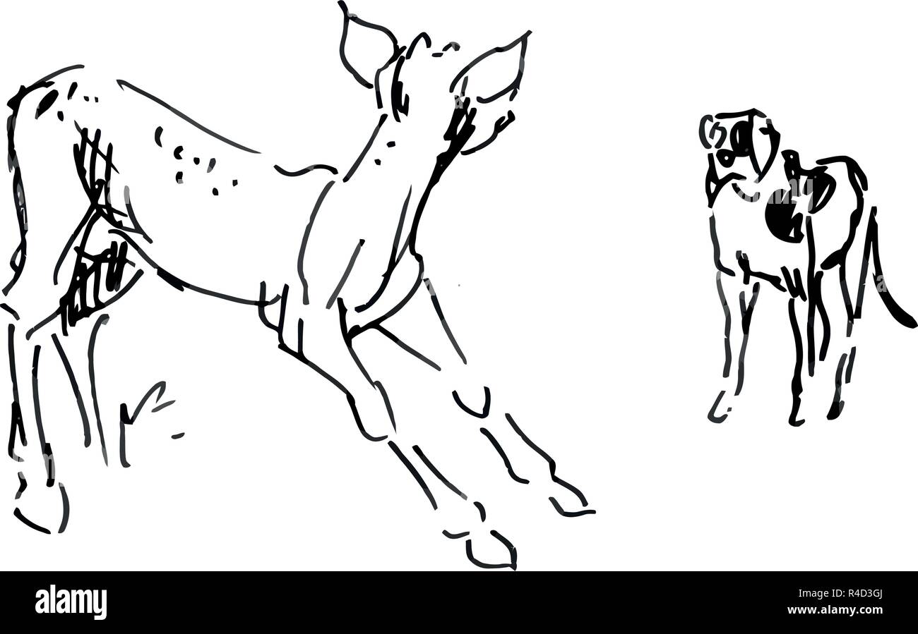 Baby Reh und Hund - es ist schnell Tuschezeichnung und schwarz weiss Zeichnung. Stock Vektor