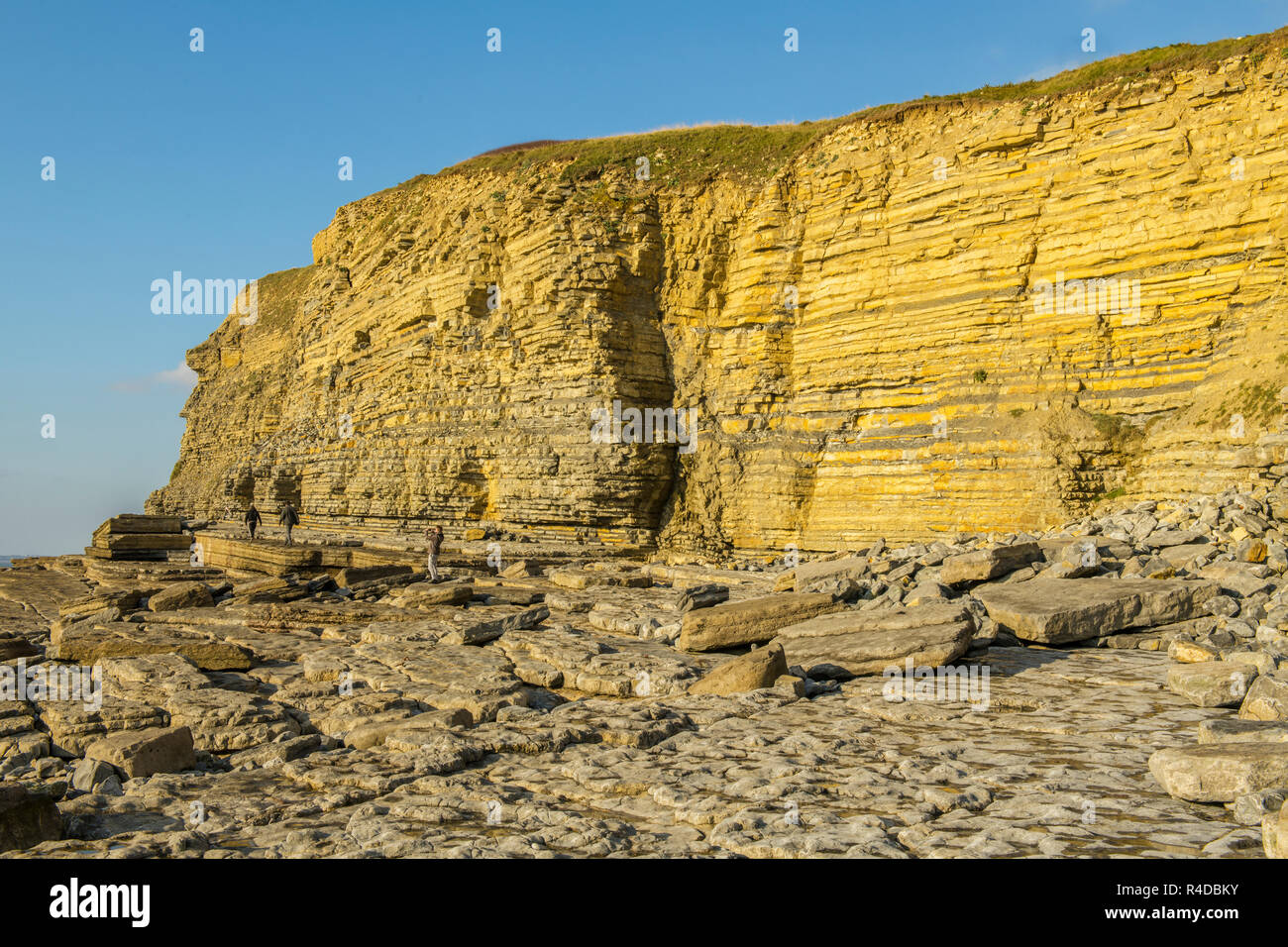 Die Kalkfelsen an der Dunraven Bay Southerndown Vale von Glamorgan Stockfoto