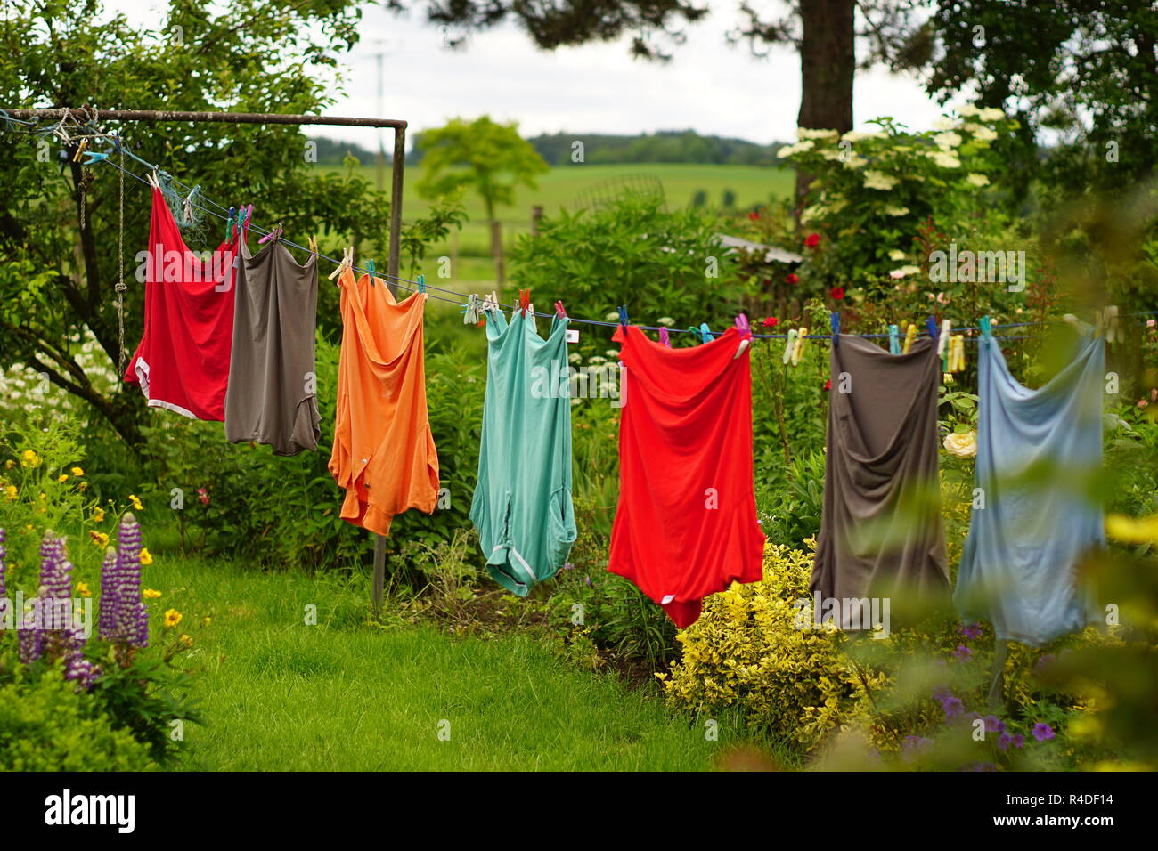 Klamotten Online im Garten Stockfoto