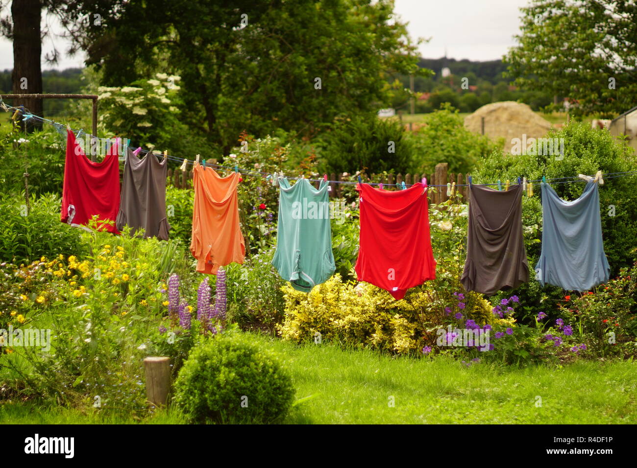 Klamotten Online im Garten Stockfoto