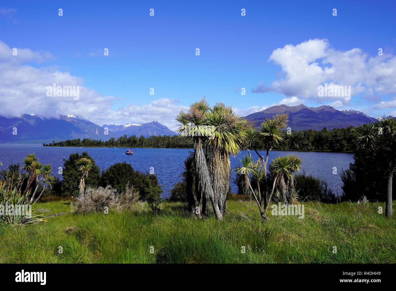 Neuseeland Kohl Bäume vor dem blauen See und den schneebedeckten Bergen im Hintergrund. Stockfoto