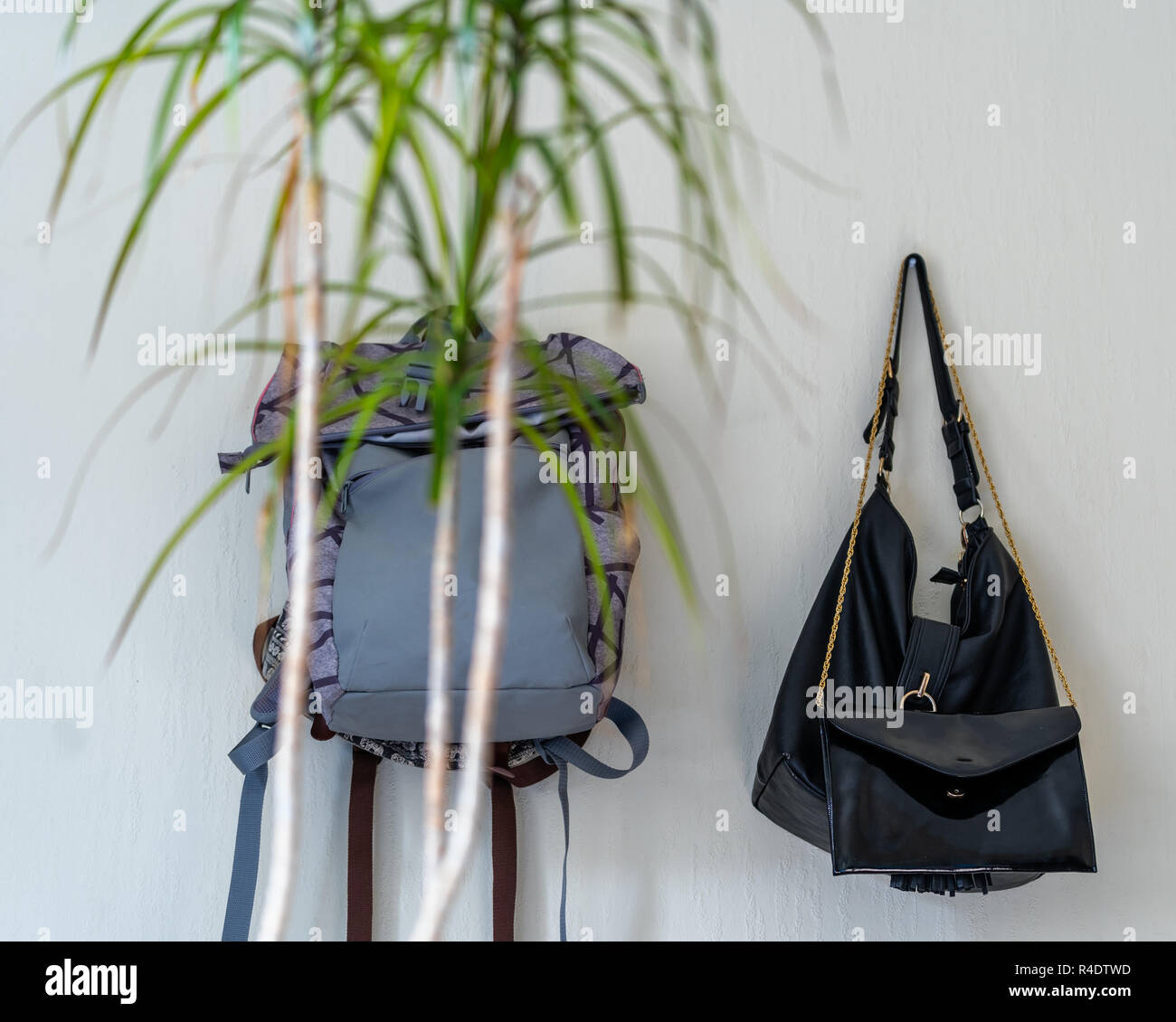 Lila Schule Rucksack an der Wand hängen - isoliertes Objekt mit weißem Hintergrund mit grünen Pflanze vor Es Stockfoto
