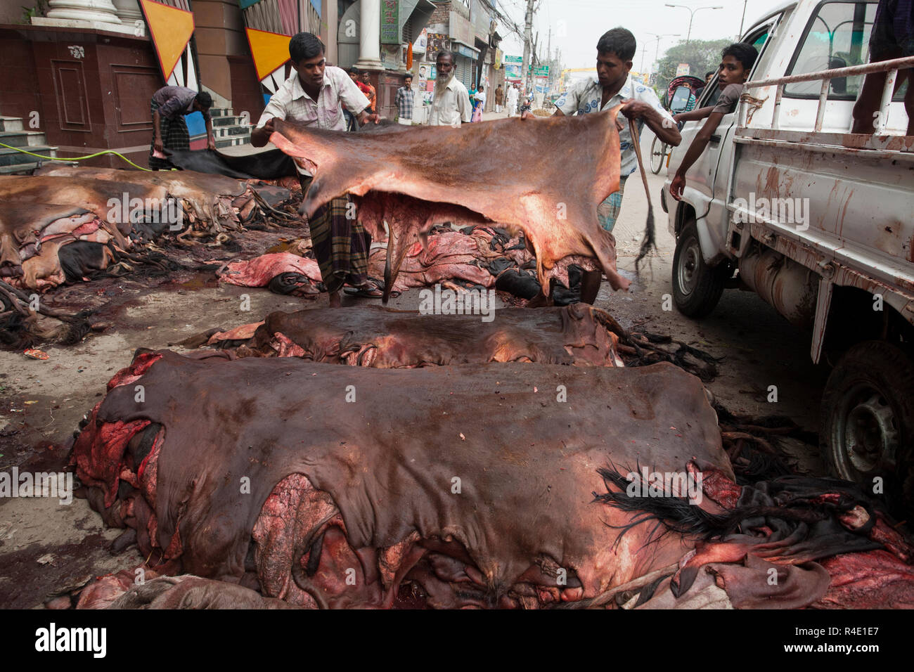Rohe Häute Markt in der Straße während der Qurbani Eid. Dhaka, Bangladesch. Stockfoto