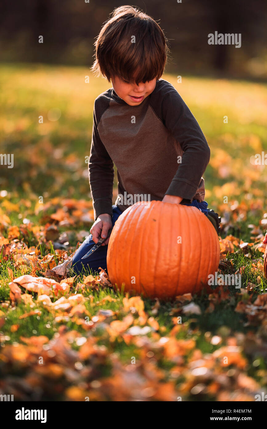 Lächelnde junge Schnitzen eines Halloween Kürbis im Garten, United States Stockfoto