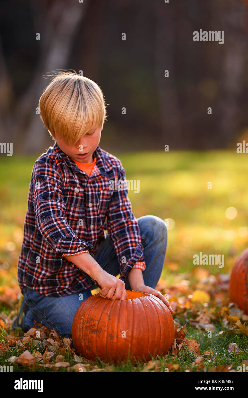Lächelnde junge Schnitzen eines Halloween Kürbis im Garten, United States Stockfoto