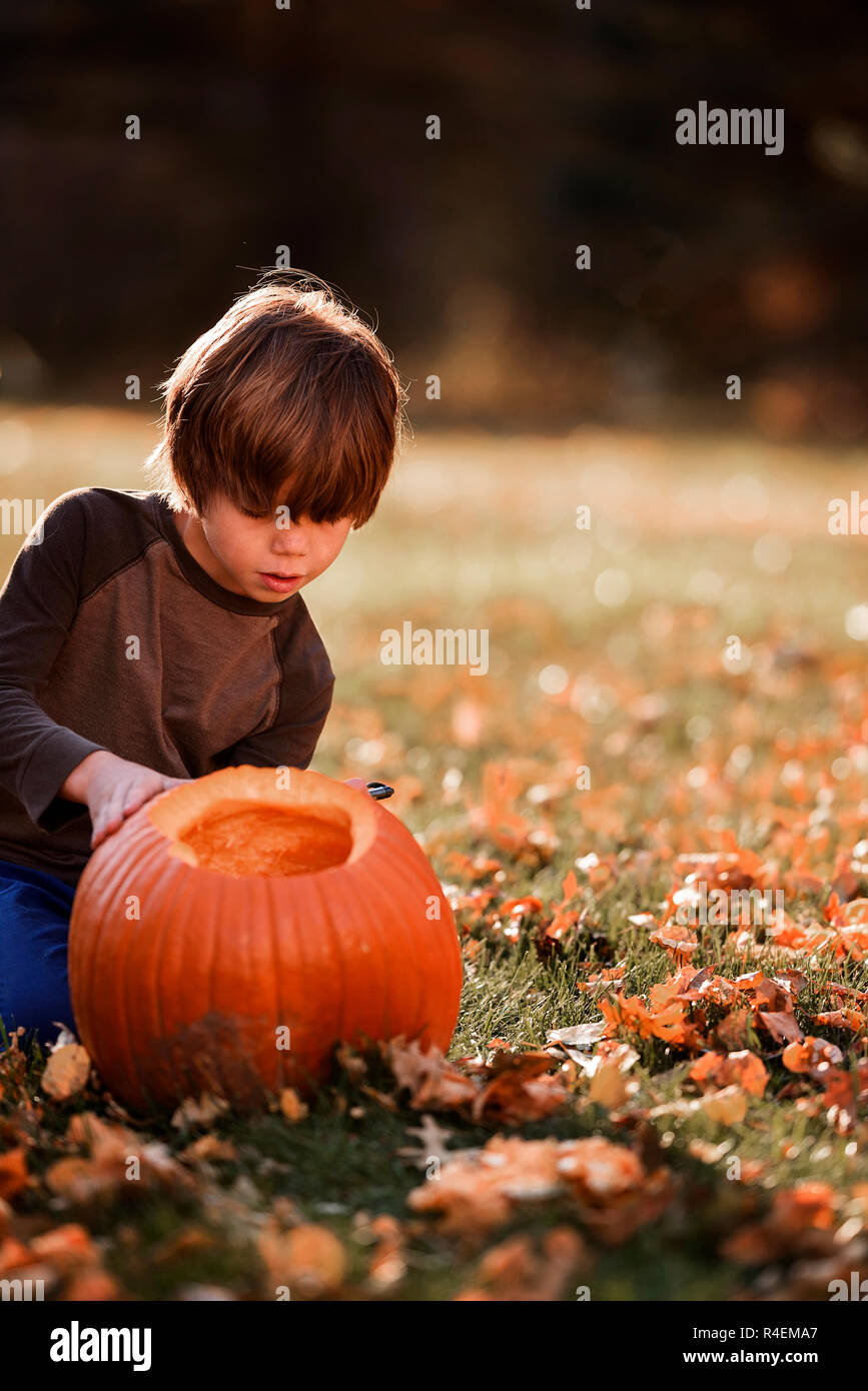 Junge Schnitzen eines Halloween Kürbis im Garten, United States Stockfoto