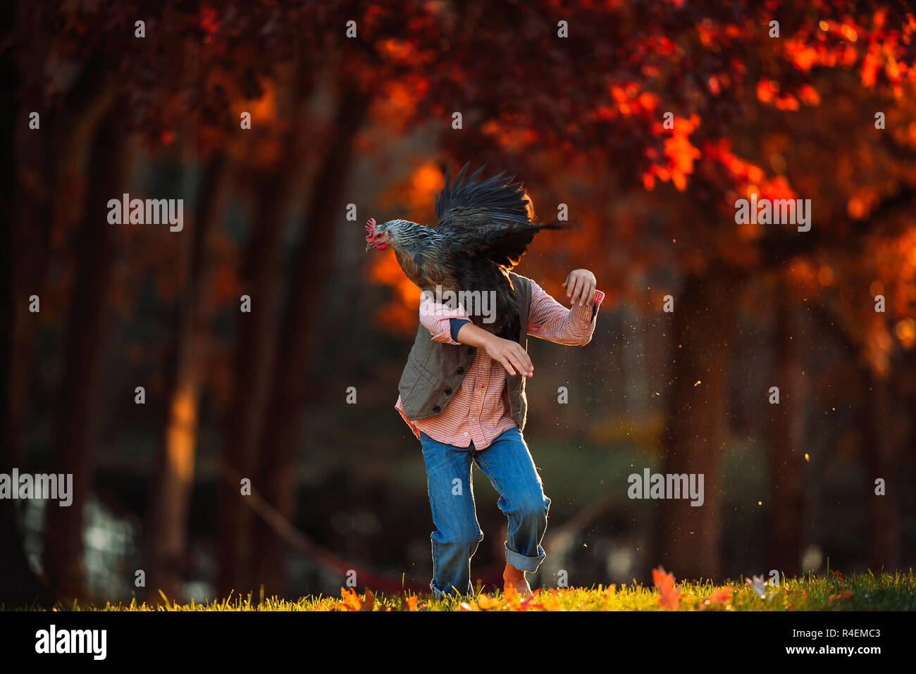 Junge draußen spielen Mit einem Huhn, United States Stockfoto